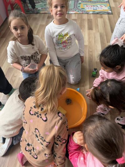 Тема: “Водата и нашето здраве: Водата в ежедневието ни” - ДГ Незабравка - Мизия