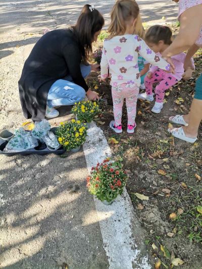 Ремонтни дейности в база Пчелица, село Софрониево - ДГ Незабравка - Мизия