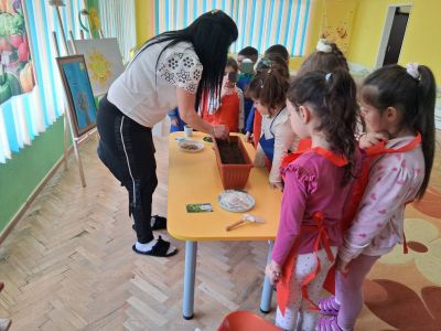  Дейност: „Билки в моята градина“ - ДГ Незабравка - Мизия