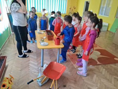 Дейност: „Билки в моята градина“ - ДГ Незабравка - Мизия