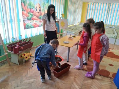  Дейност: „Билки в моята градина“ - ДГ Незабравка - Мизия