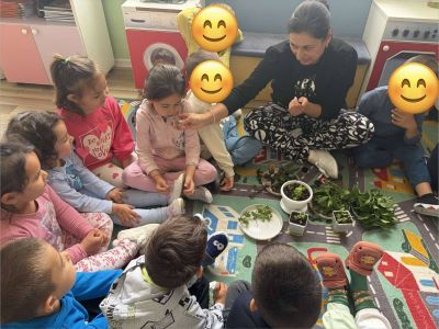 Тема: „Малки готвачи: Подправки от билковата градина“ - ДГ Незабравка - Мизия