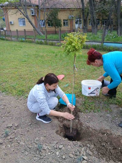 Ремонтни дейности в основна сграда - ДГ Незабравка - Мизия