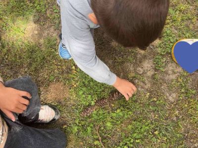 Тема: „Азбука от природни материали“ - ДГ Незабравка - Мизия